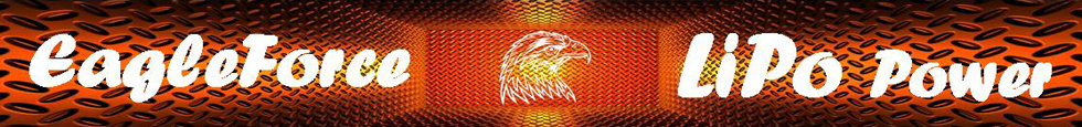 EagleForce-Logo